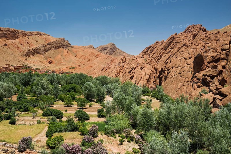 Oasis in Dades Gorge