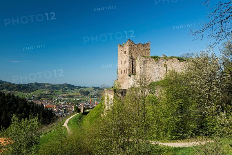 Ruine Neu-Schauenburg castle ruins