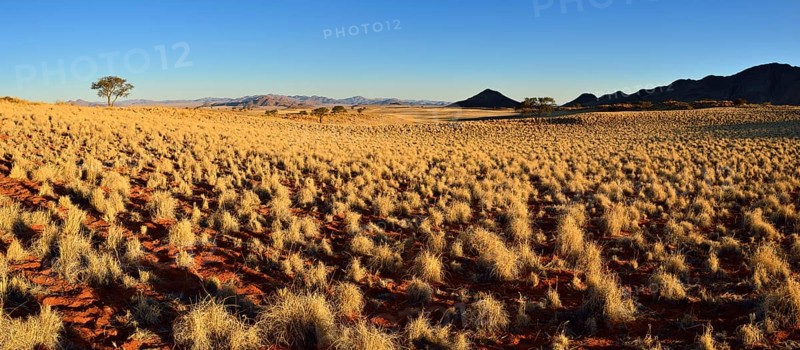 View over NamibRand Nature Reserve