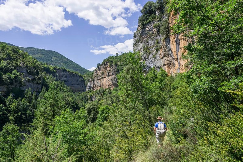 Faja track through the canyon of the Rio Aso