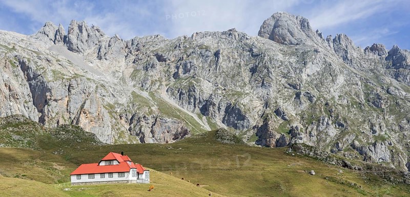 Chalet Real