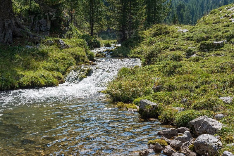 Mountain stream