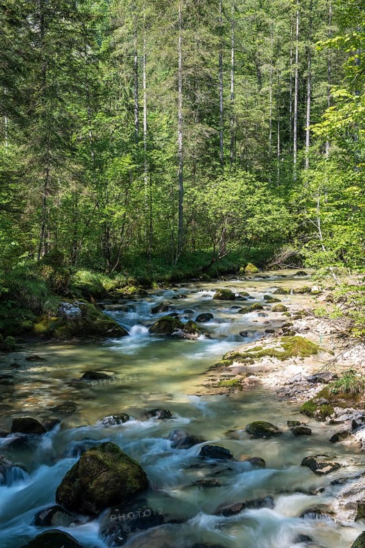 Waldbachstrub