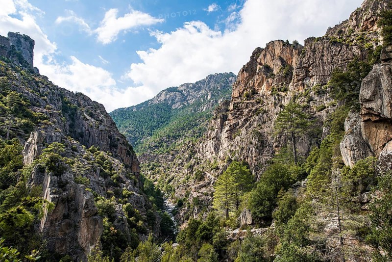 Tavignano river valley
