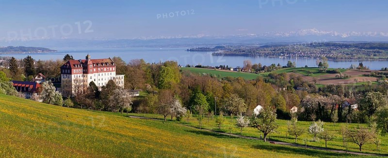 View of Spetzgart Castle over Lake Constance to the Alps