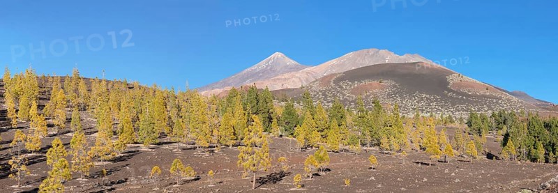 Volcanoes Pico del Teide and Pico Viejo