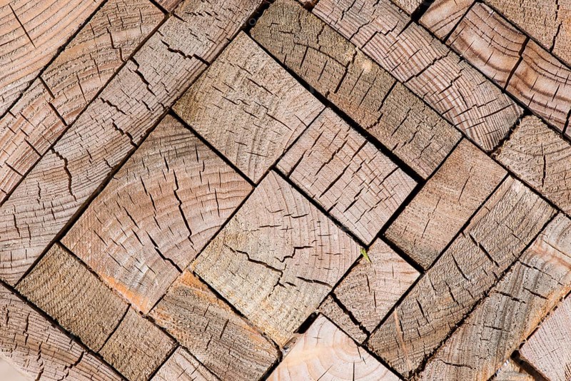 Blocks of oak (Quercus sp.) with annual rings
