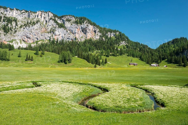 Wurzeralm