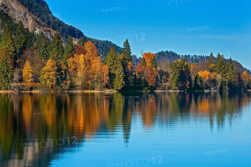 Colorful autumn landscape