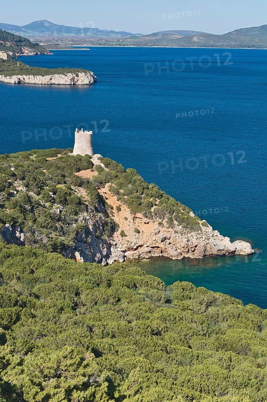 Torre del Bollo tower