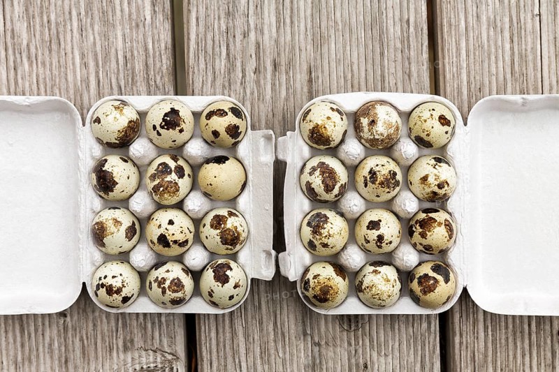 Quail eggs