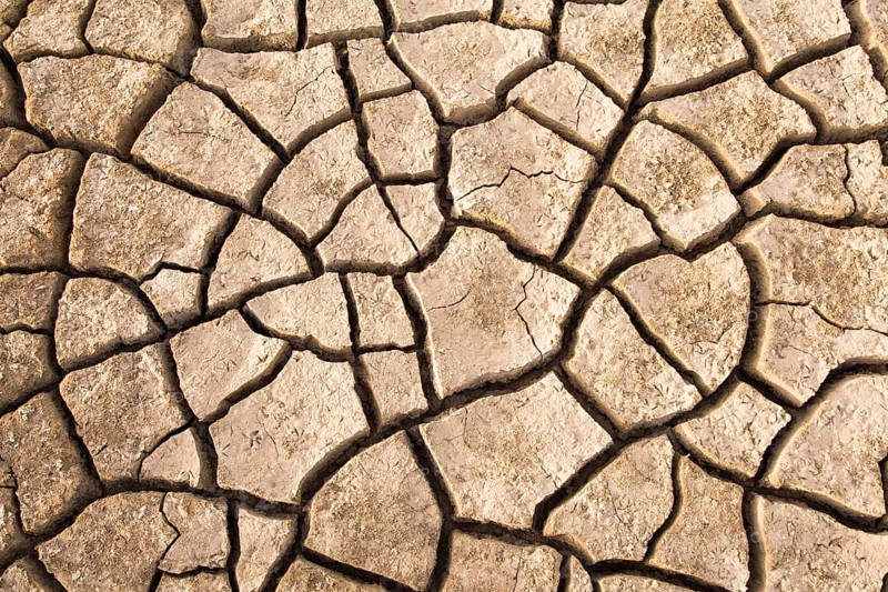 Cracked floodplain mud