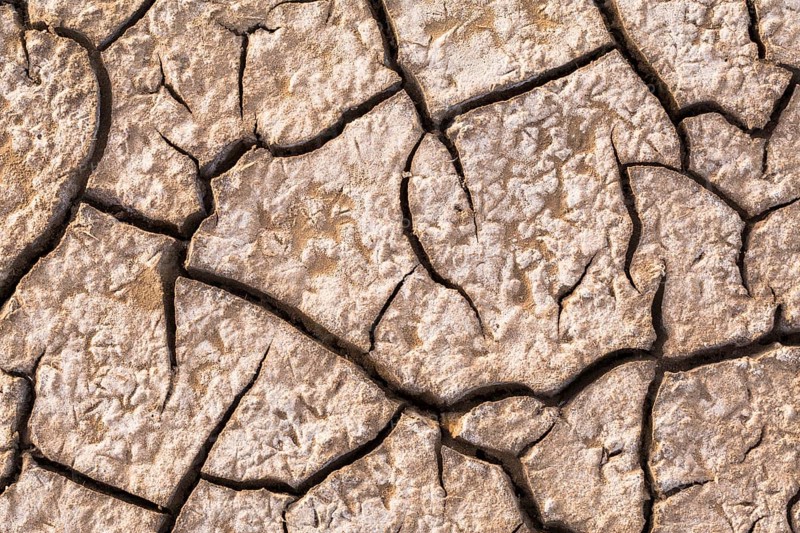 Cracked floodplain mud