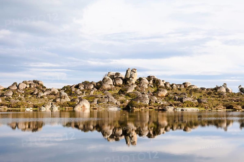 Granite rocks with White Stork (Ciconia ciconia) nests