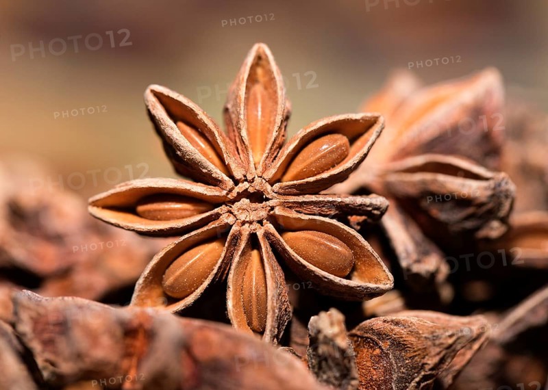 Star anise (Illicium verum)