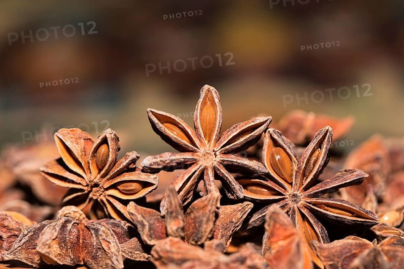 Star anise (Illicium verum)