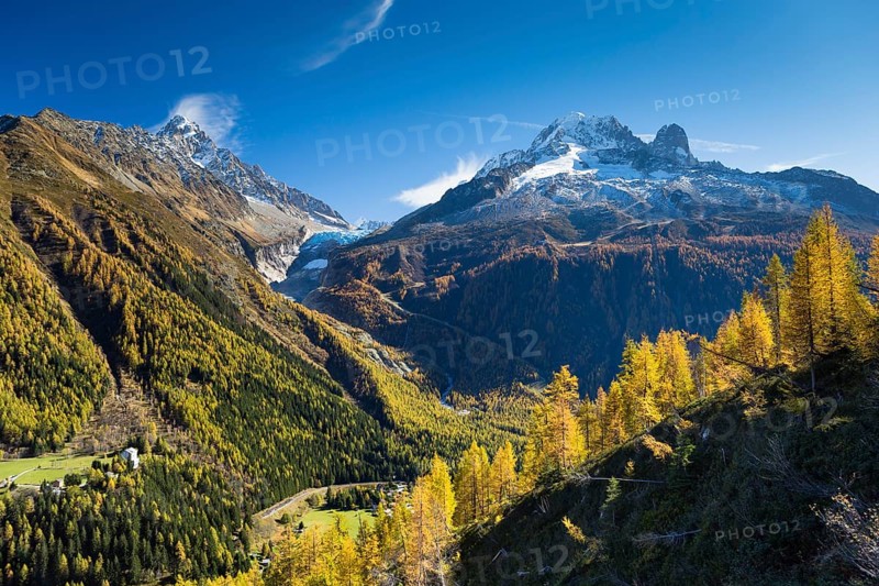 Argentiere Glacier in Mont Blanc Massif with autumnal larch forest
