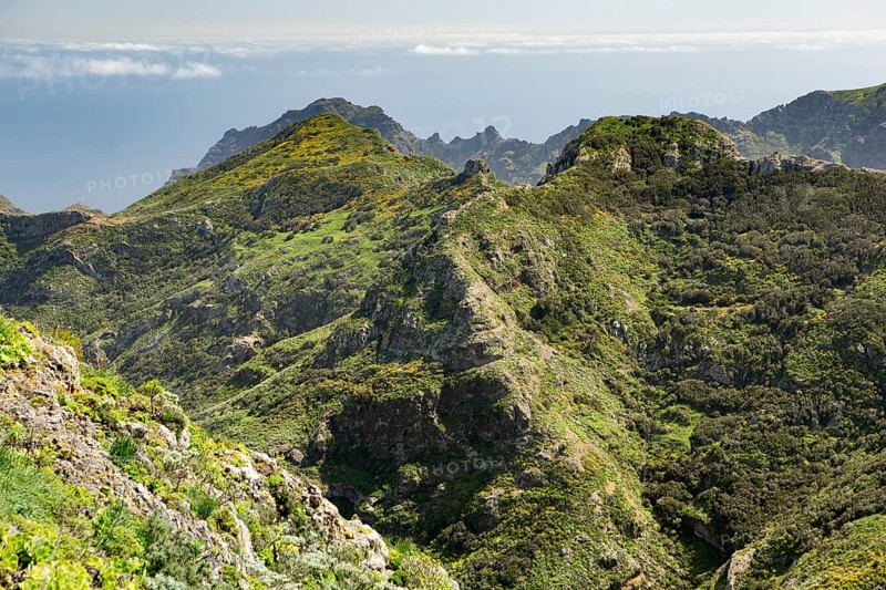 View of laurel forests and the the gorge of Chamorga