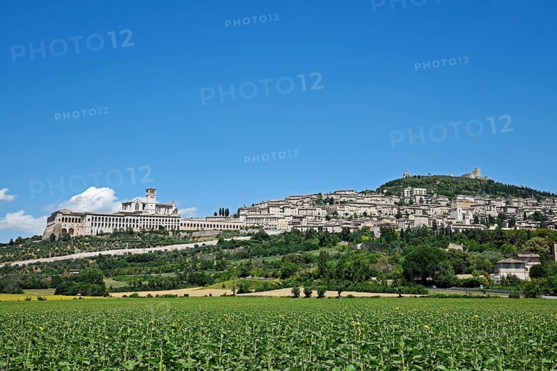 Cityscape with the Basilica of San Francesco