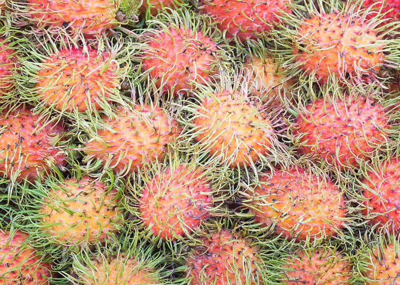 Rambutans (Nephelium lappaceum)