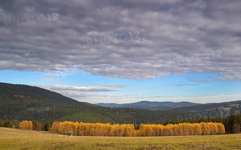 Autumn in the Sumava National Park