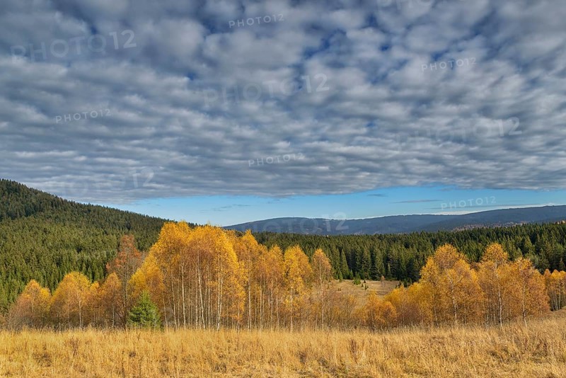 Autumn in the Sumava National Park
