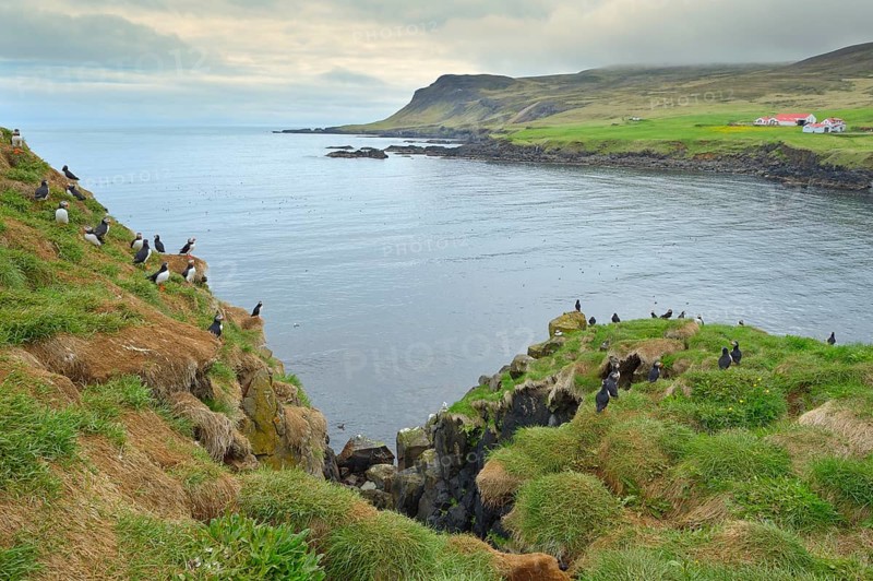 Bird sanctuary
