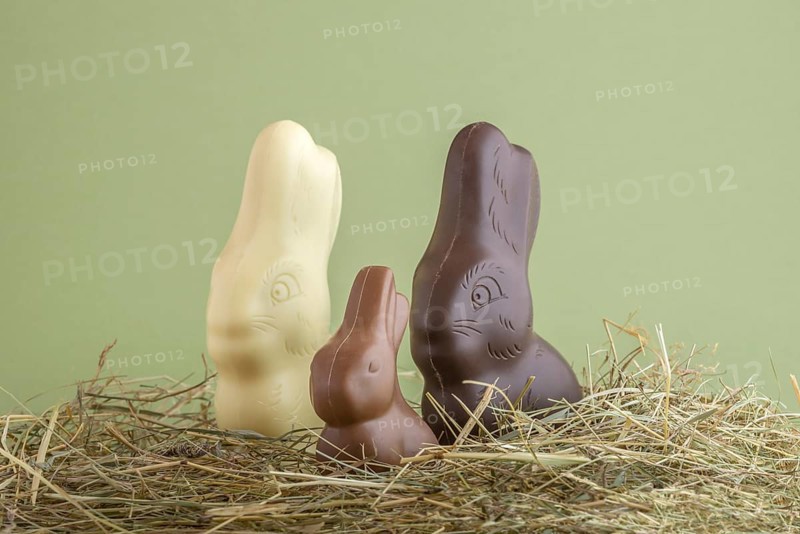 Chocolate easter bunnies