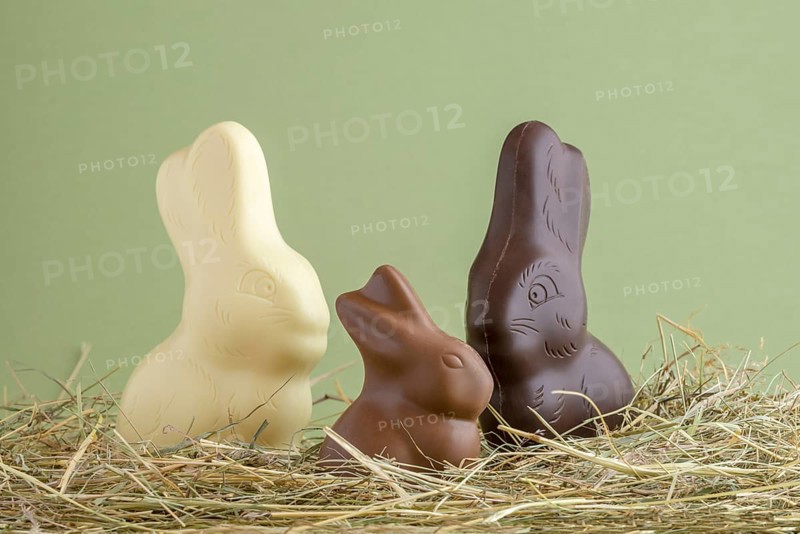 Chocolate easter bunnies