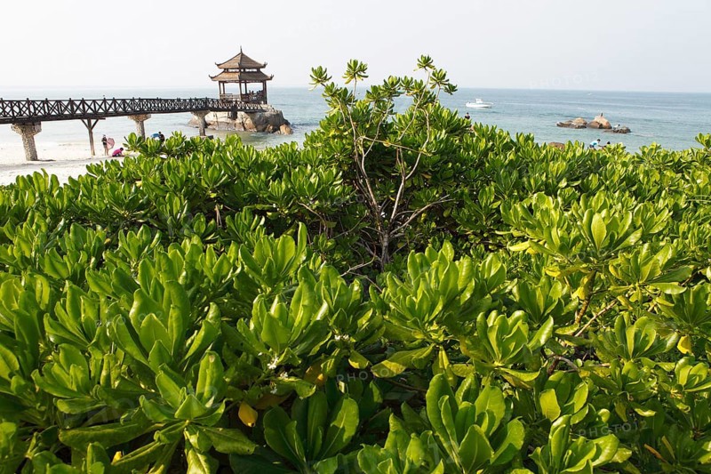 Pagoda on the beach