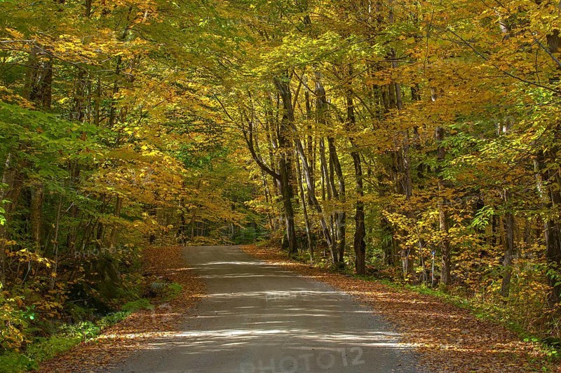 Dirt road