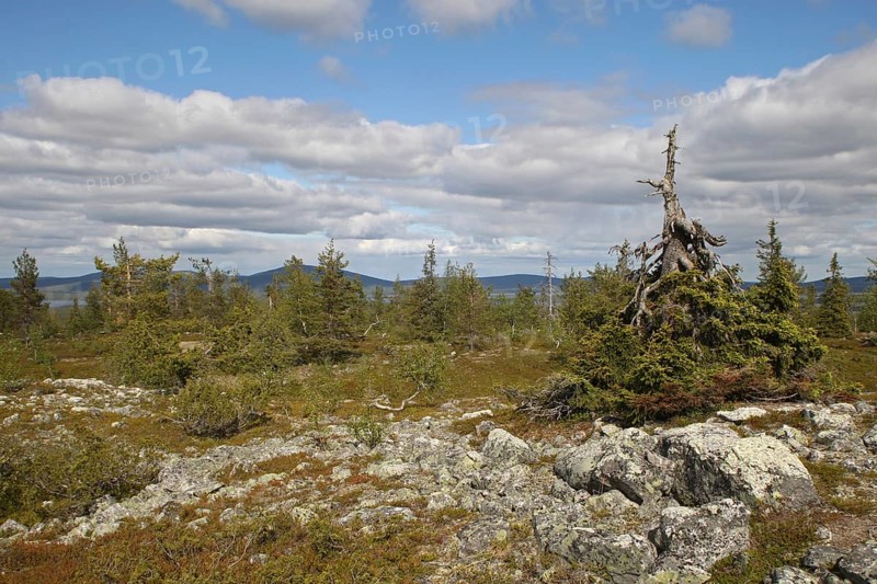 Plateau