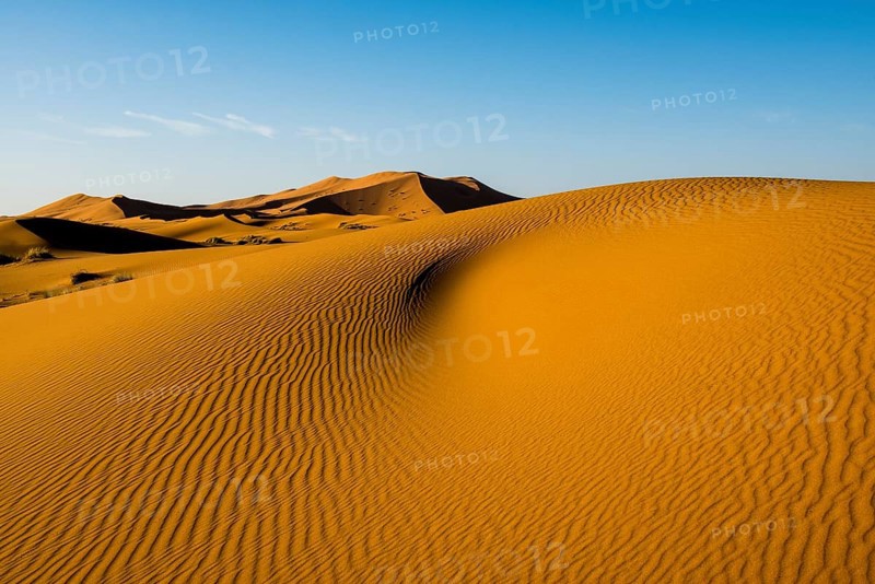 Sand dunes in morning light