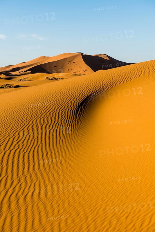 Sand dunes in morning light