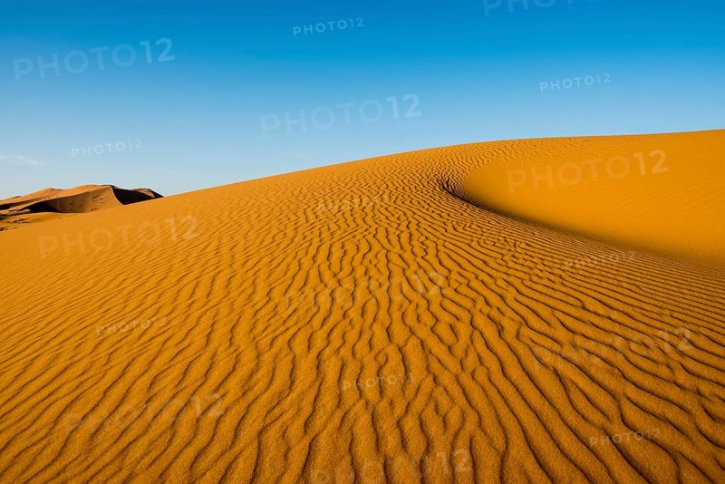 Sand dunes in morning light
