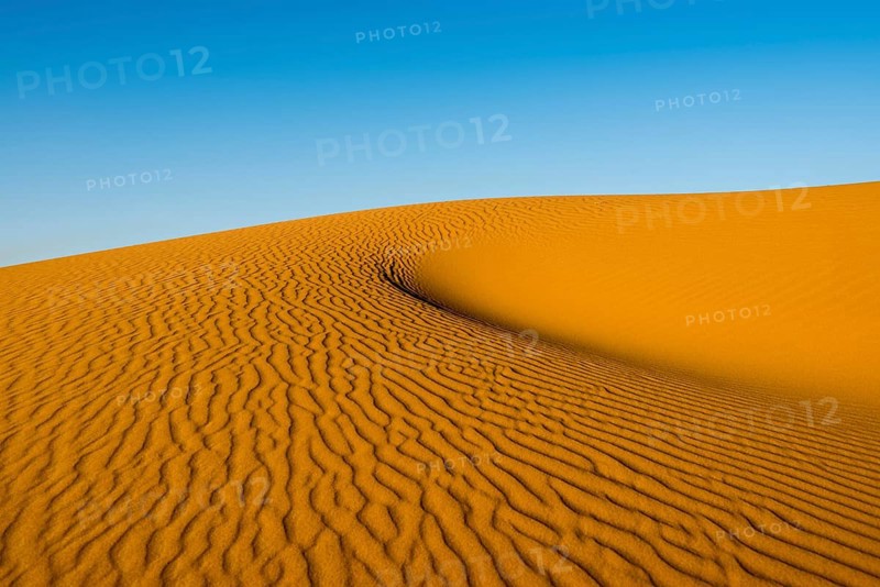 Sand dunes in morning light