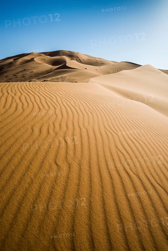 Highest dune in Morocco