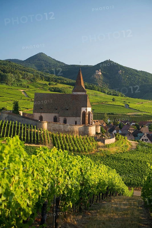 Church within the vineyards