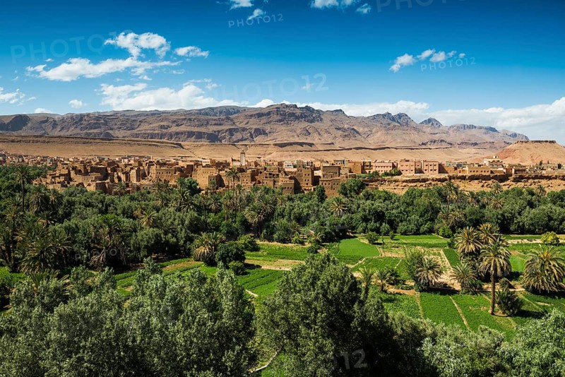 Oasis with traditional adobe houses and date palms