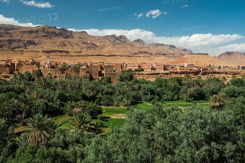 Oasis with traditional adobe houses and date palms