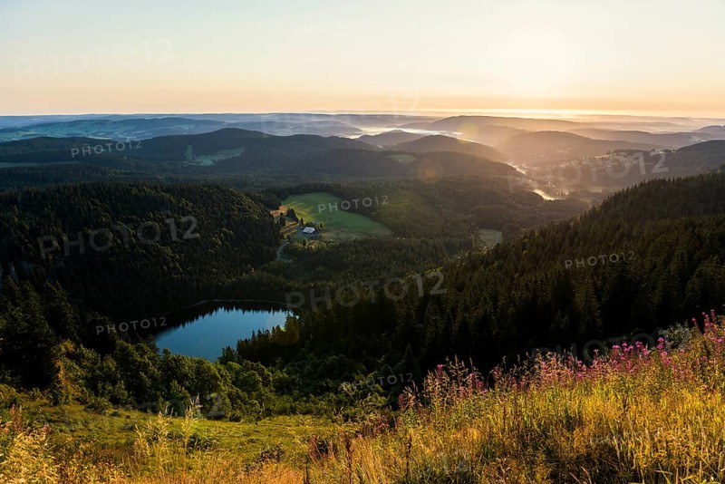 View east towards Feldsee from Feldberg