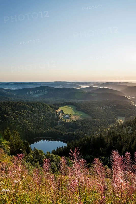View east towards Feldsee from Feldberg
