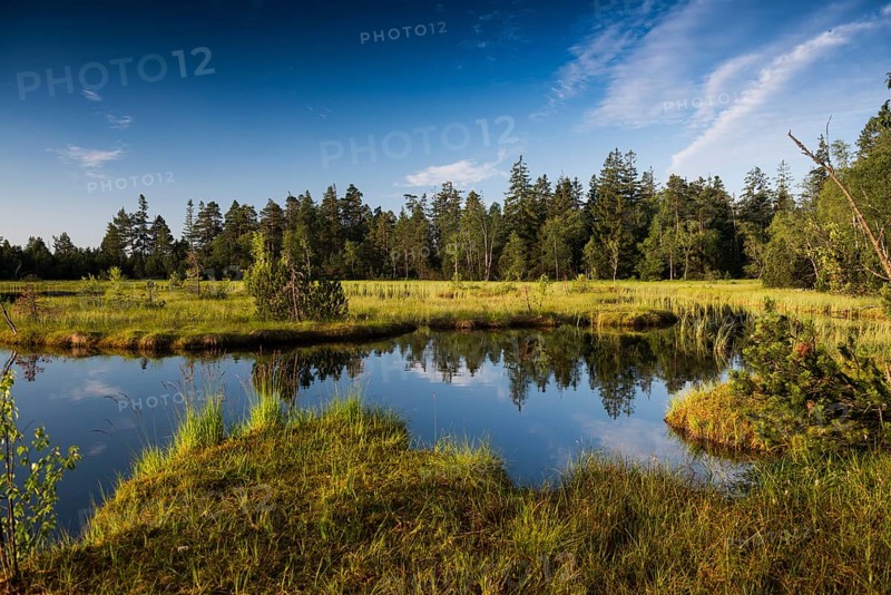 Wildseemoor