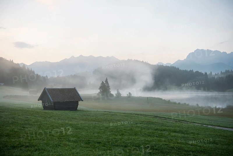 Morning mist