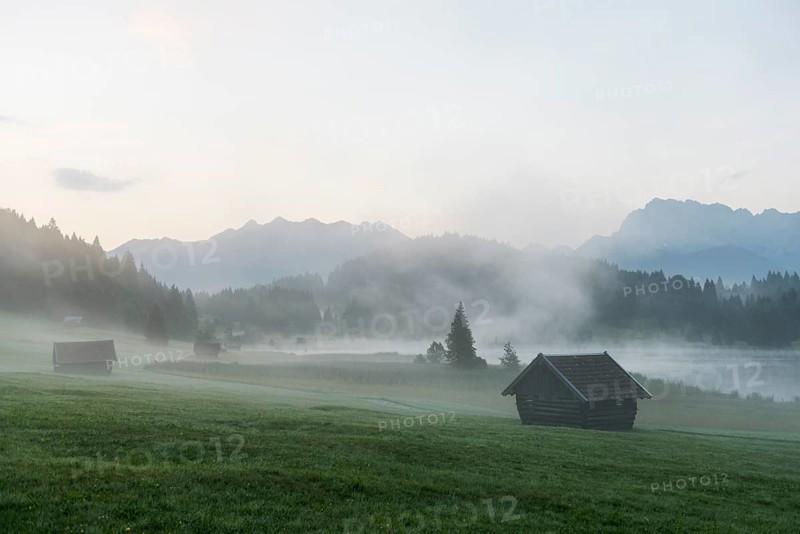 Morning mist