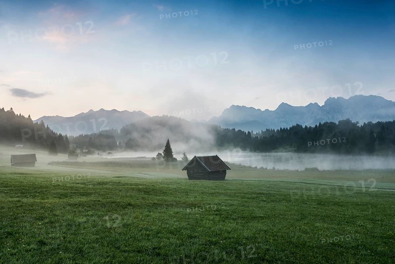 Morning mist