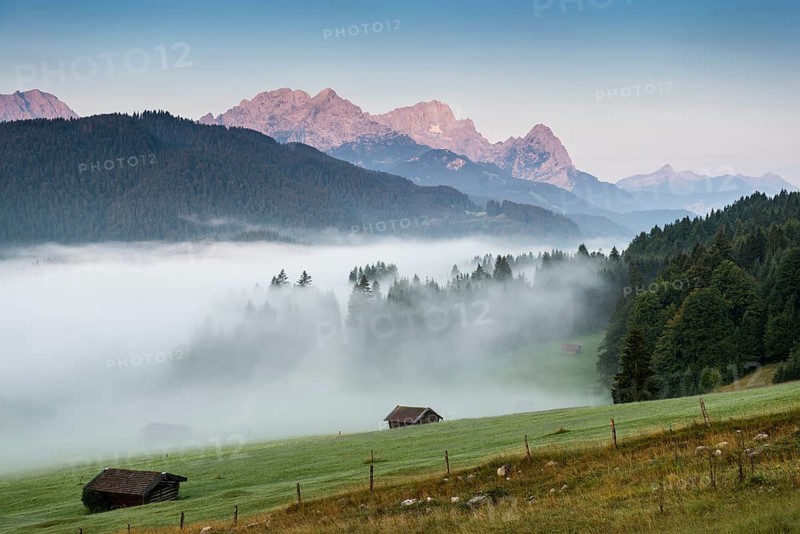 Morning mist