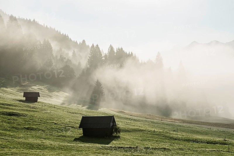 Sunrise and morning mist
