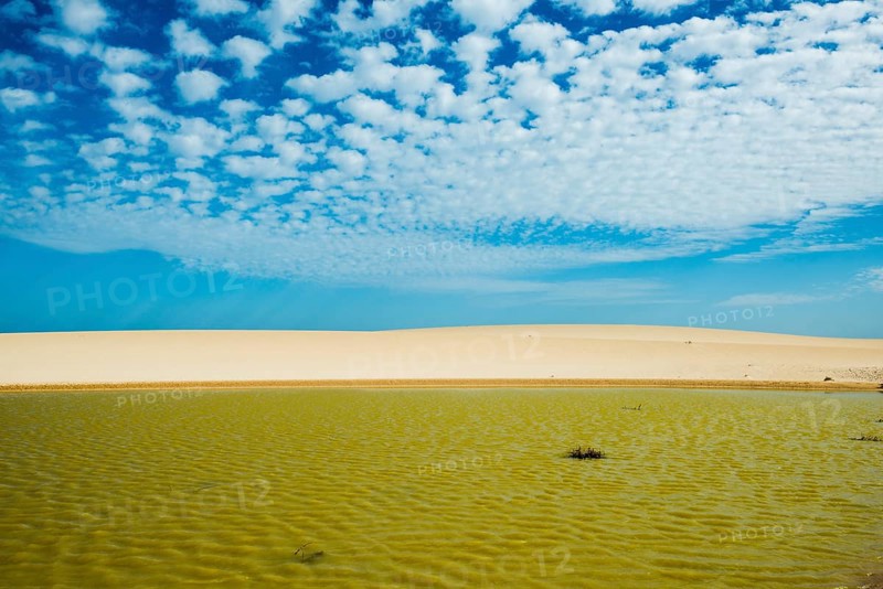 Pluvial lake in the dunes