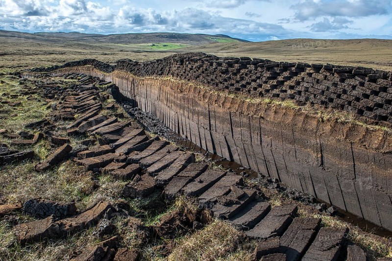 Cut peat on a peat bog